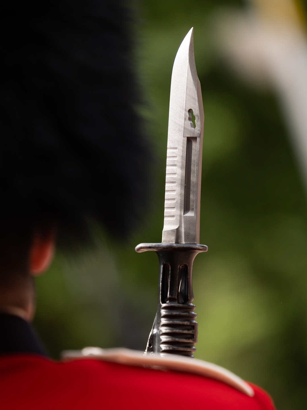A Coldstream Guards Guardsman With Bayonet on Parade Photo Print - British Army Hampshire Prints 6 x 4 No Frame No