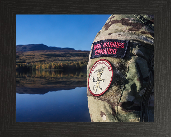 Royal Marines Commando and Joint Expeditionary Force Patches Photo Print