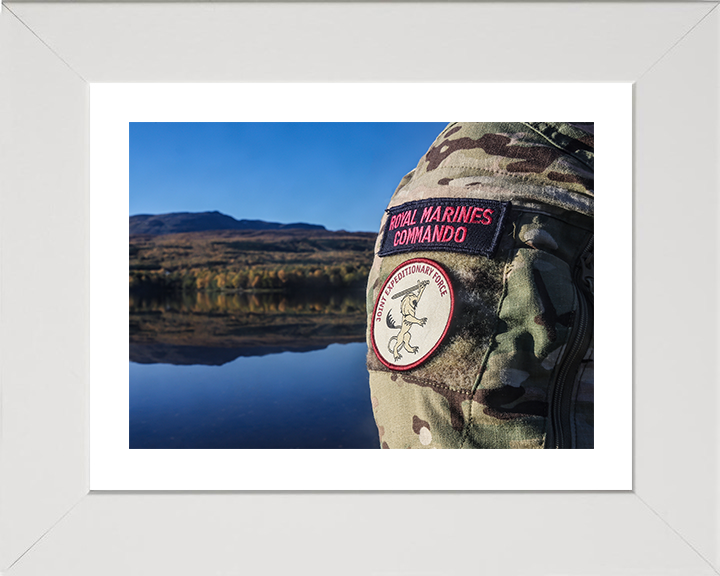 Royal Marines Commando and Joint Expeditionary Force Patches Photo Print