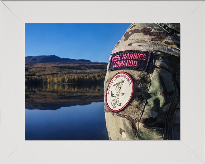 Royal Marines Commando and Joint Expeditionary Force Patches Photo Print
