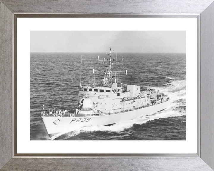 HMS Peacock (P239) Photo Print - Port Bow View - Royal Navy Peacock Class Patrol Vessel Hampshire Prints 10 x 8 Silver Frame Yes