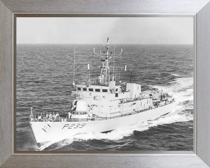 HMS Peacock (P239) Photo Print - Port Bow View - Royal Navy Peacock Class Patrol Vessel Hampshire Prints 10 x 8 Silver Frame No