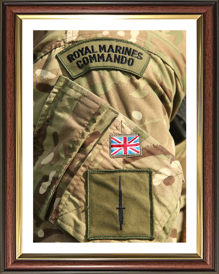 Royal Marines Commando Patch and Dagger Photo Print Hampshire Prints 10 x 8 Classic Frame Yes