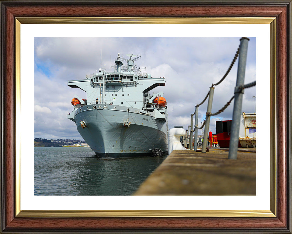 RFA Argus (A135) Photo Print - In Harbour - Royal Fleet Auxiliary Casualty Class Ship Hampshire Prints 10 x 8 Classic Frame Yes
