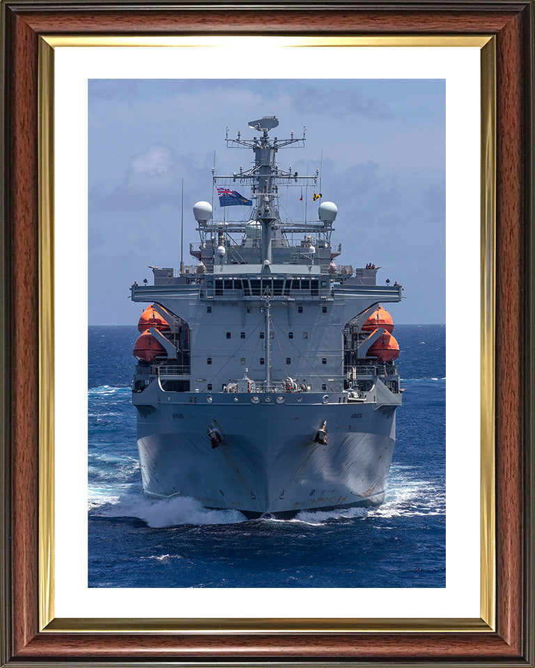 RFA Argus (A135) Photo Print - Low Bow View - Royal Fleet Auxiliary Casualty Class Ship Hampshire Prints 10 x 8 Classic Frame Yes