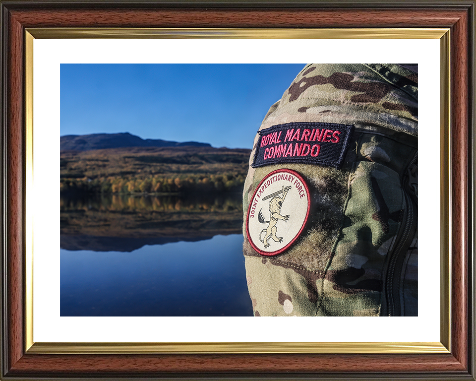 Royal Marines Commando and Joint Expeditionary Force Patches Photo Print