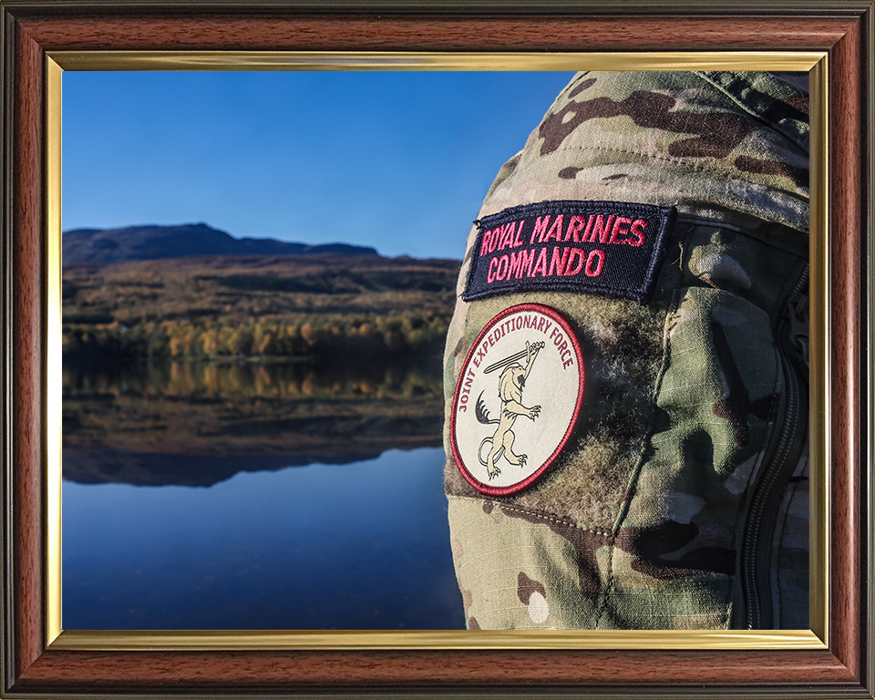 Royal Marines Commando and Joint Expeditionary Force Patches Photo Print