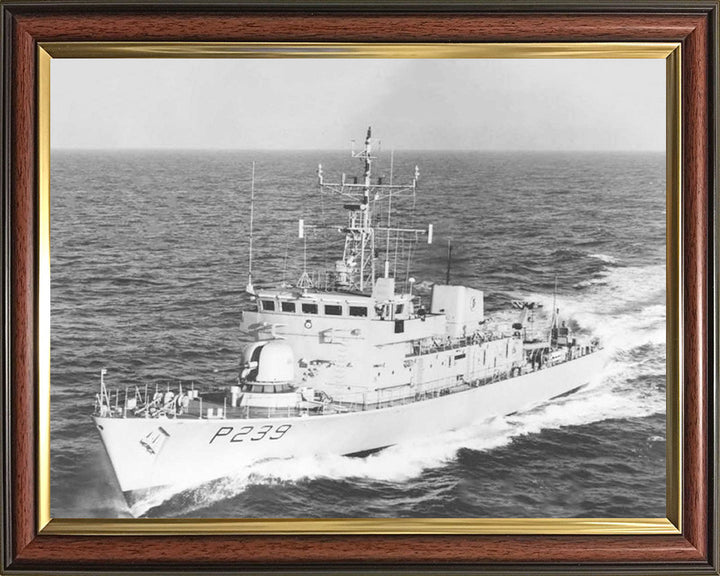 HMS Peacock (P239) Photo Print - Port Bow View - Royal Navy Peacock Class Patrol Vessel Hampshire Prints 10 x 8 Classic Frame No
