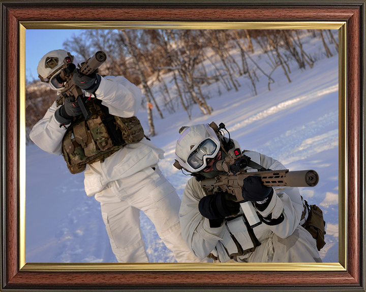 Royal Marine Commandos SRS in Norway Photo Print Hampshire Prints 10 x 8 Classic Frame No