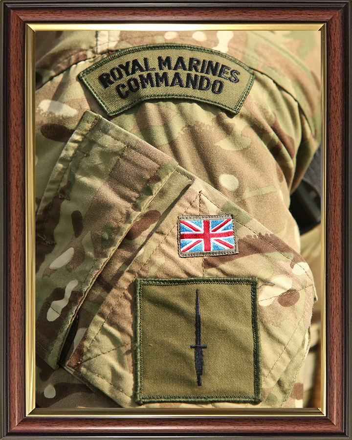 Royal Marines Commando Patch and Dagger Photo Print Hampshire Prints 10 x 8 Classic Frame No