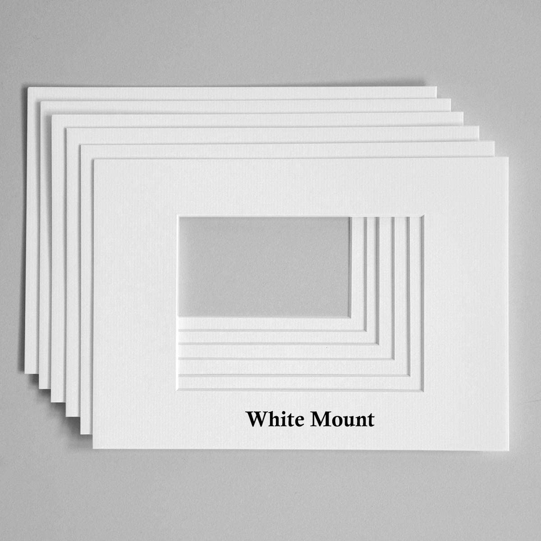 HMS Relentless (H85) Photo Print - Port Side - Royal Navy R Class Destroyer Hampshire Prints