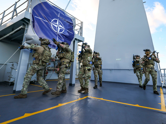 Royal Marines Commando Boarding team