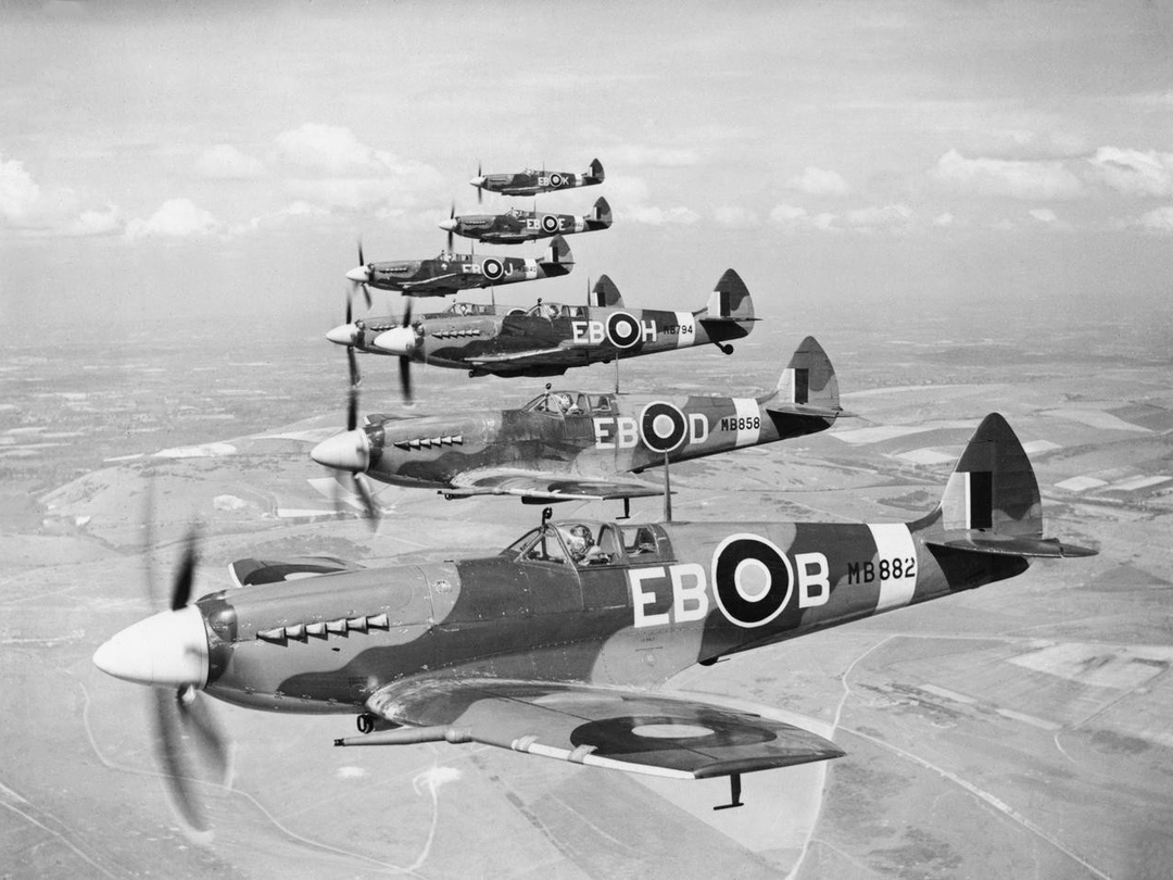 RAF 41 Squadron Spitfire Mk XIIs in formation, 1944