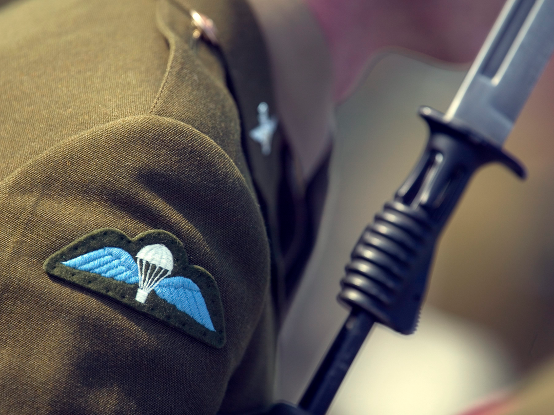 Army Parachutist Wings Closesup Photo Print - British Army Posters, Prints, & Visual Artwork Hampshire Prints 6 x 4 No Frame No