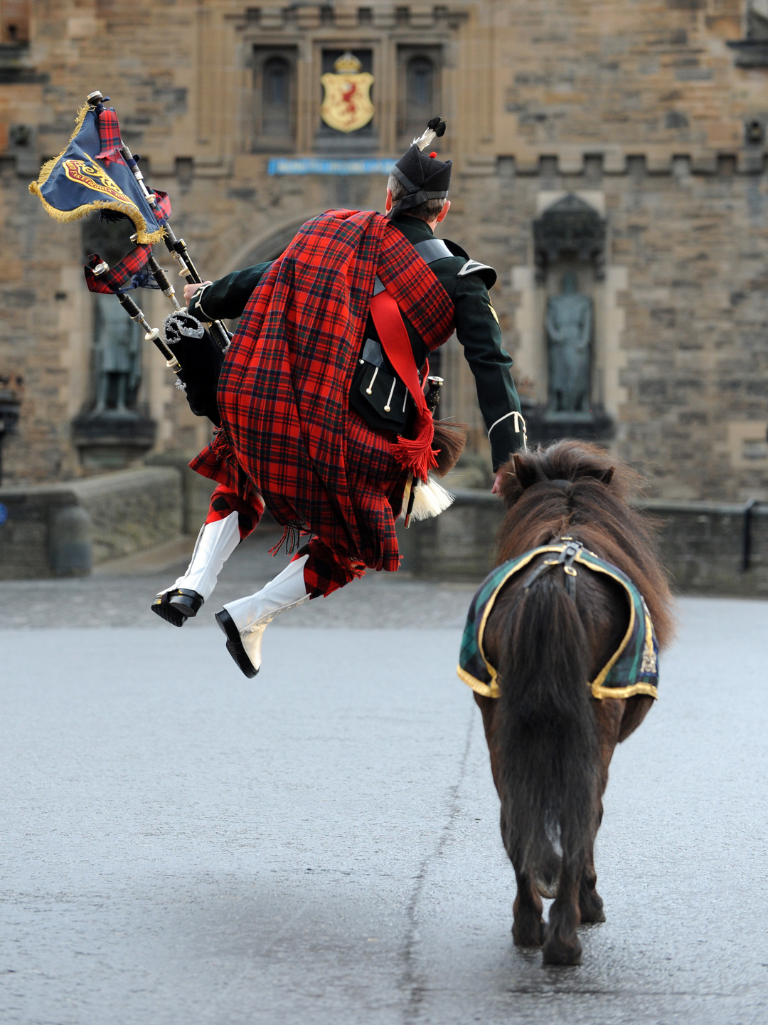 Royal Regiment of Scotland Mascot and Crossed Swords Piper Photo Print - British Army Posters, Prints, & Visual Artwork Hampshire Prints 6 x 4 No Frame No