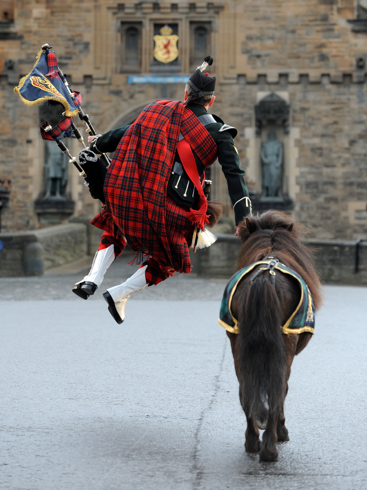 Royal Regiment of Scotland Mascot and Crossed Swords Piper Photo Print - British Army Posters, Prints, & Visual Artwork Hampshire Prints 6 x 4 No Frame No