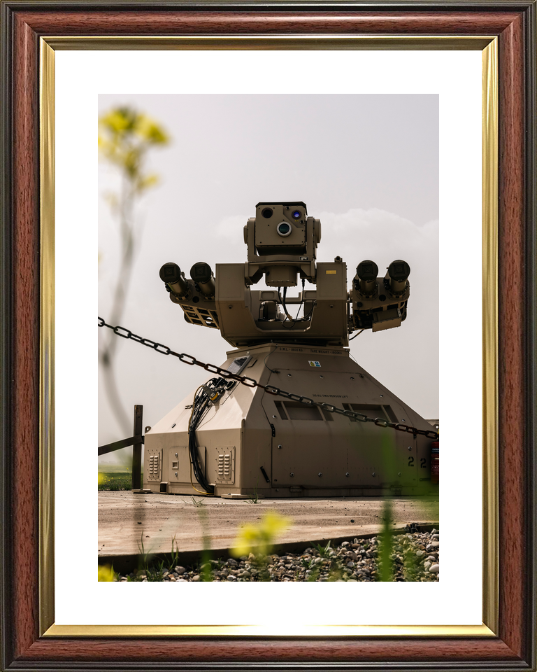 RAF Regiment Counter Unmanned Aerial System 2026 Photo Print - Posters, Prints, & Visual Artwork - by Hampshire Prints (image 8 of 9)