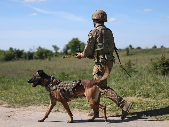 British Army Dog Handler on Patrol Photo Print Wall Art Military Decor Poster Posters, Prints, & Visual Artwork Hampshire Prints 6 x 4 No Frame No