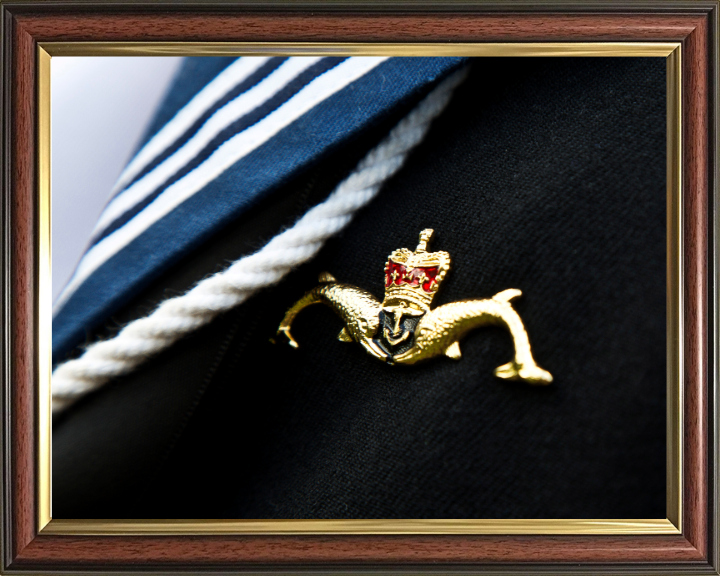 Submariner Dolphins Closeup Photo Print - Royal Navy Hampshire Prints 10 x 8 Classic Frame No