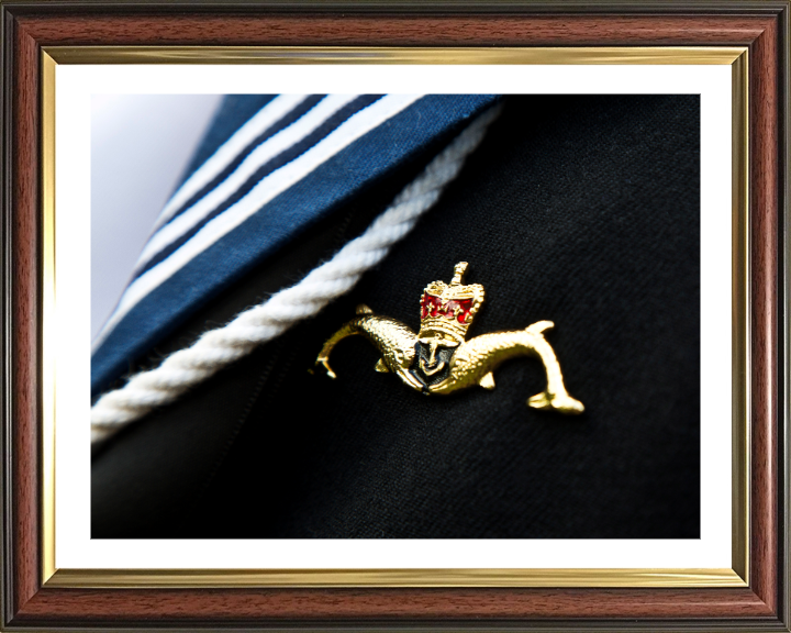 Submariner Dolphins Closeup Photo Print - Royal Navy Hampshire Prints 10 x 8 Classic Frame Yes
