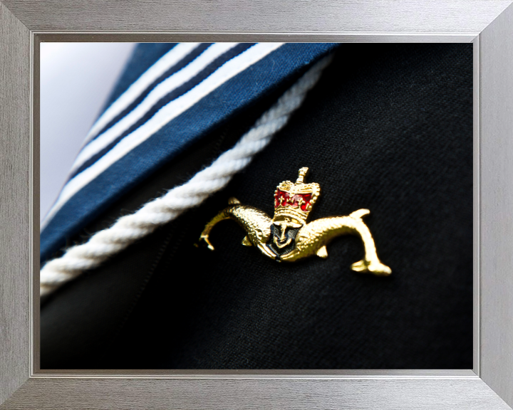 Submariner Dolphins Closeup Photo Print - Royal Navy Hampshire Prints 10 x 8 Silver Frame No
