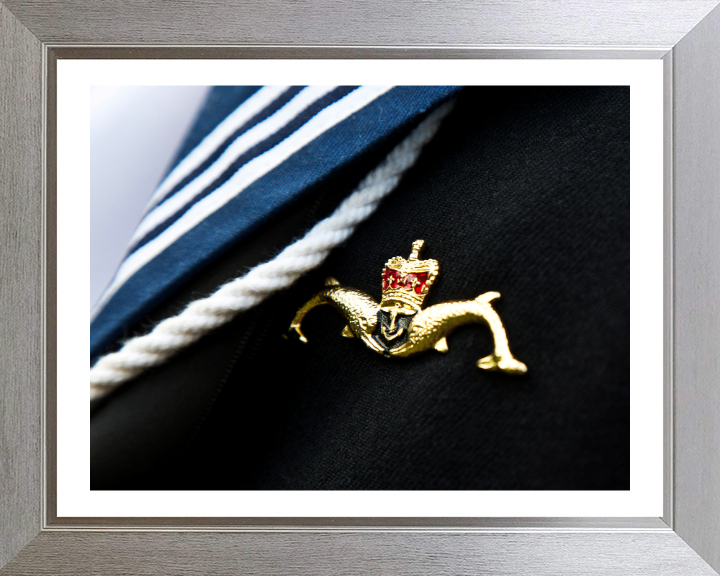 Submariner Dolphins Closeup Photo Print - Royal Navy Hampshire Prints 10 x 8 Silver Frame Yes