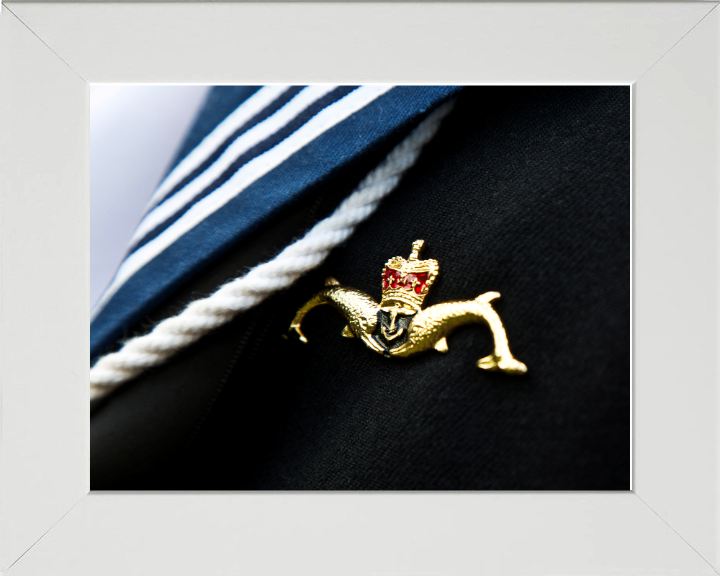 Submariner Dolphins Closeup Photo Print - Royal Navy Hampshire Prints 10 x 8 White Frame No