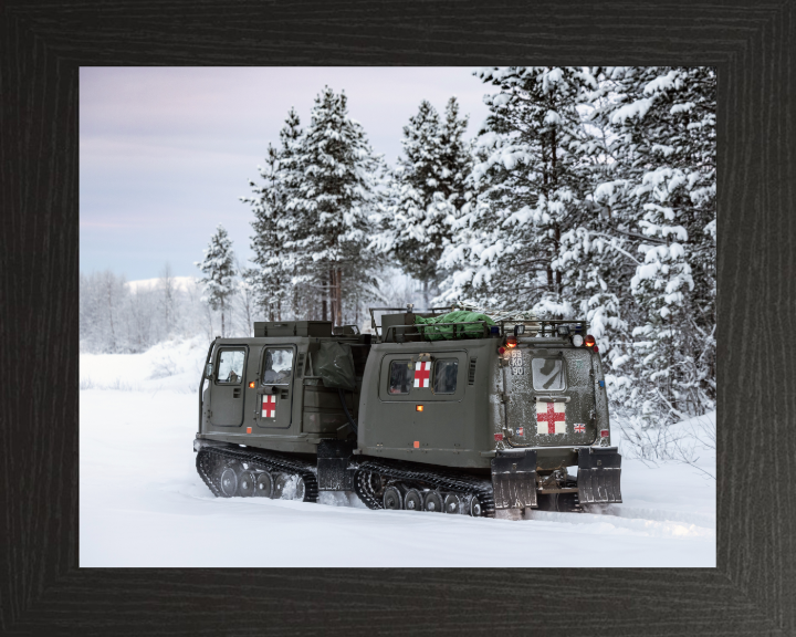 Viking BVS10 Protected Patrol Vehicle Photo Print - British Army Vehicle Hampshire Prints 10 x 8 Black Frame No