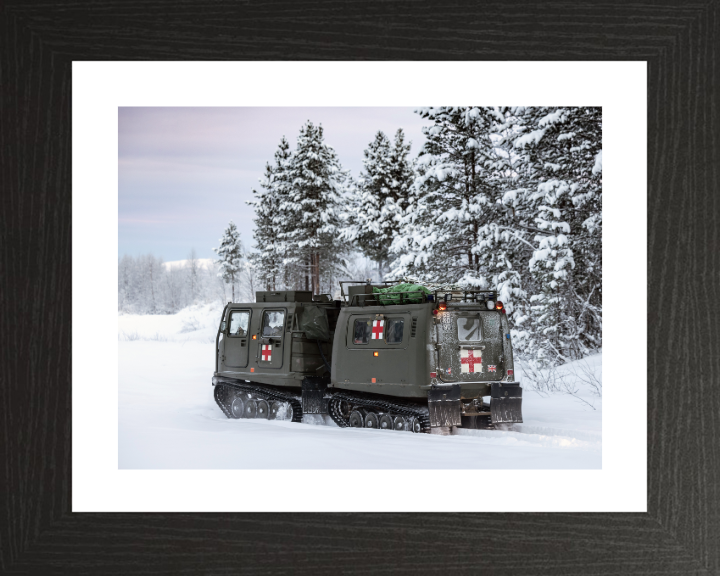 Viking BVS10 Protected Patrol Vehicle Photo Print - British Army Vehicle Hampshire Prints 10 x 8 Black Frame Yes