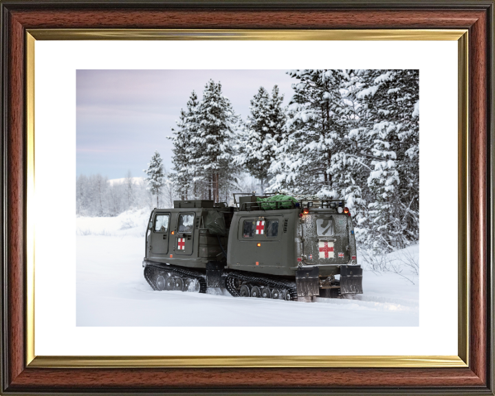 Viking BVS10 Protected Patrol Vehicle Photo Print - British Army Vehicle Hampshire Prints 10 x 8 Classic Frame Yes