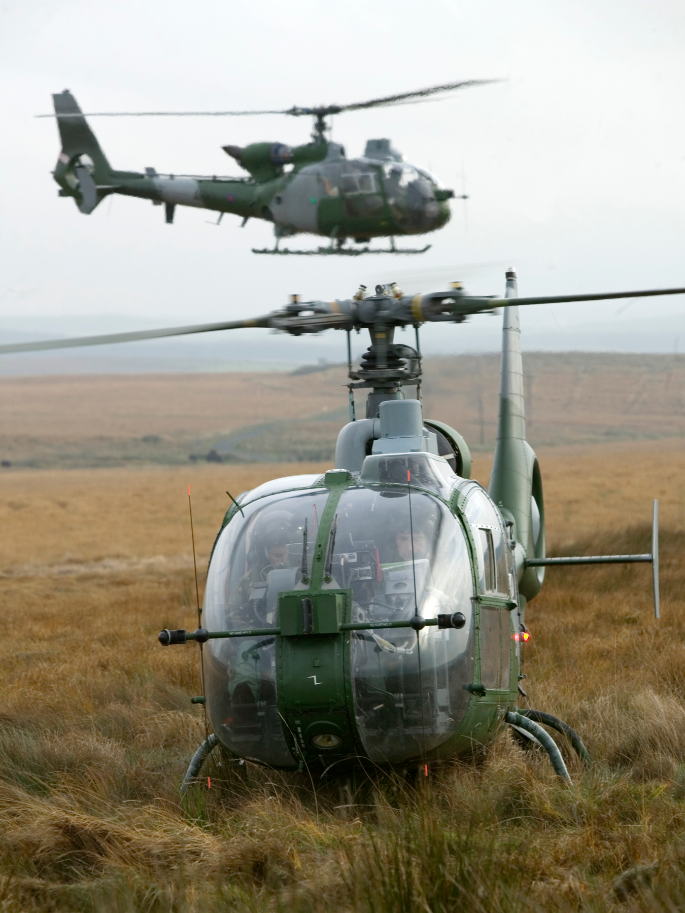British Army Air Corp Gazelle Helicopters Photo Print Wall Art Militar ...