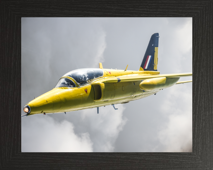 RAF Folland Gnat in flight Photo Print - Royal Air Force Aircraft Hampshire Prints 10 x 8 Black Frame No