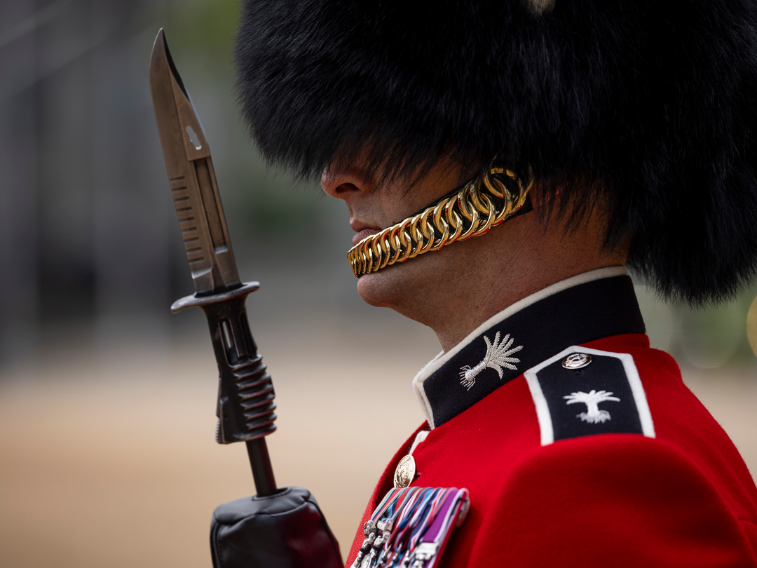 British Army Welsh Guards sergeant on Parade in London Photo Print Wall Art Military Decor Posters, Prints, & Visual Artwork Hampshire Prints 6 x 4 No Frame No