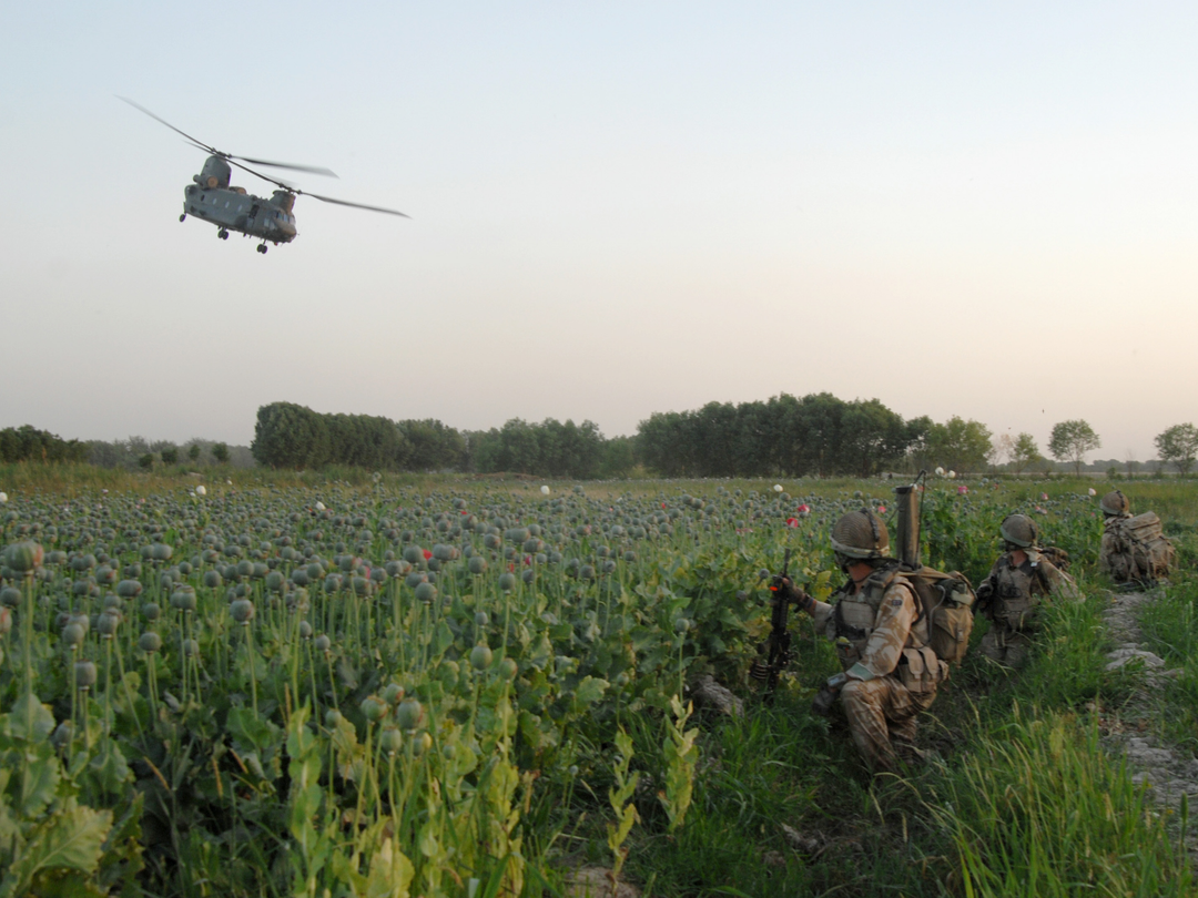 Soldiers in an Afghan poppy field Photo Print – British Army Wall Art, Military Decor Posters, Prints, & Visual Artwork Hampshire Prints 6 x 4 No Frame No