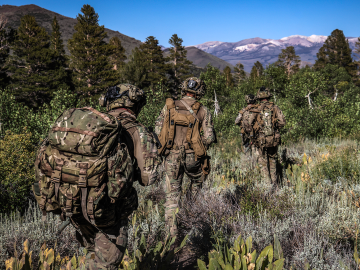 Royal Marines on Patrol in California 2025 Photo Print - 45 Commando