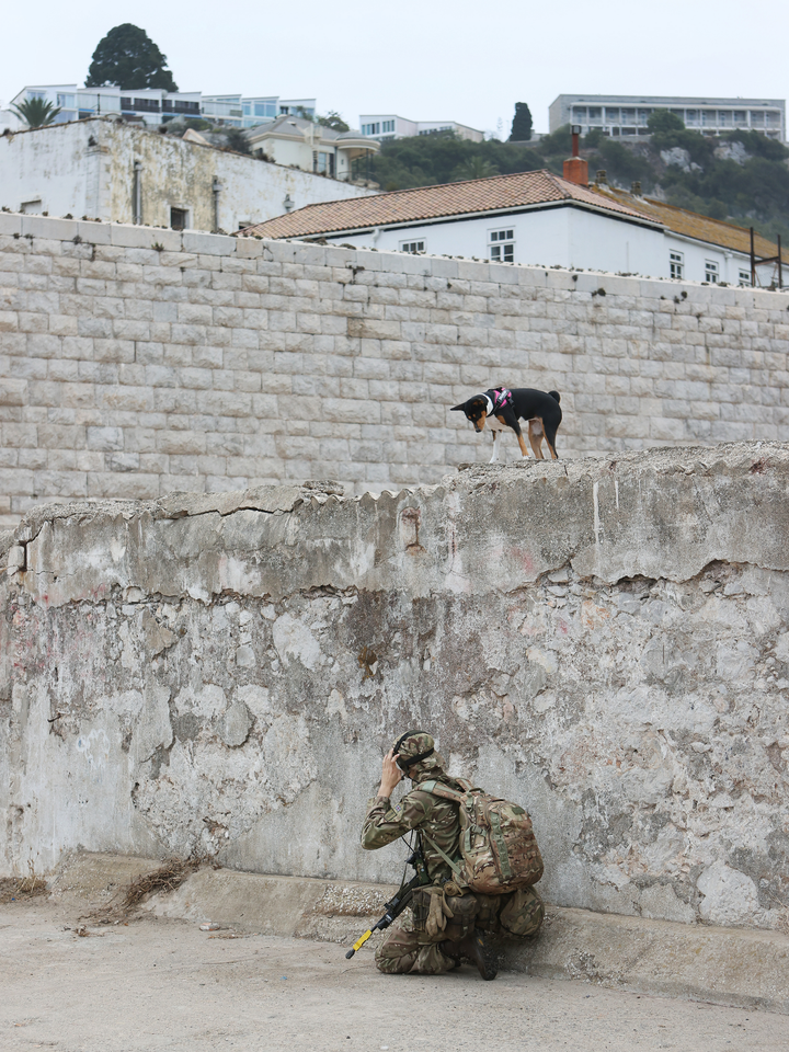 Royal Yeomanry Soldier on Exercise 2022 Photo Print - British Army