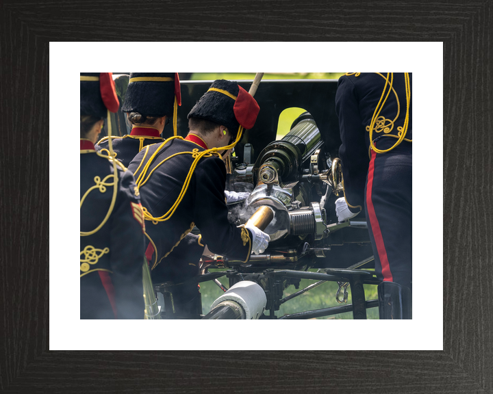 British Army Kings Troop Royal Horse Artillery Gun Salute 2026 Photo Print - Posters, Prints, & Visual Artwork - by Hampshire Prints (image 2 of 9)