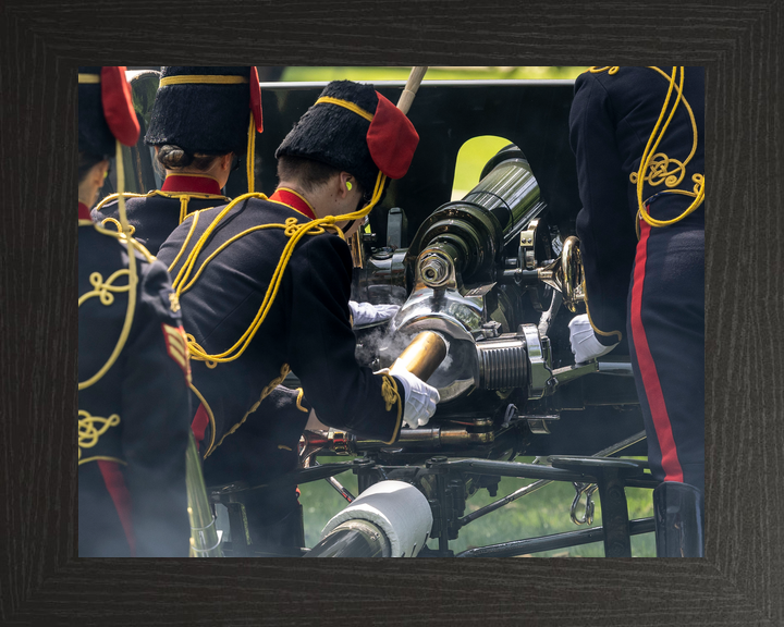 British Army Kings Troop Royal Horse Artillery Gun Salute 2026 Photo Print - Posters, Prints, & Visual Artwork - by Hampshire Prints (image 3 of 9)
