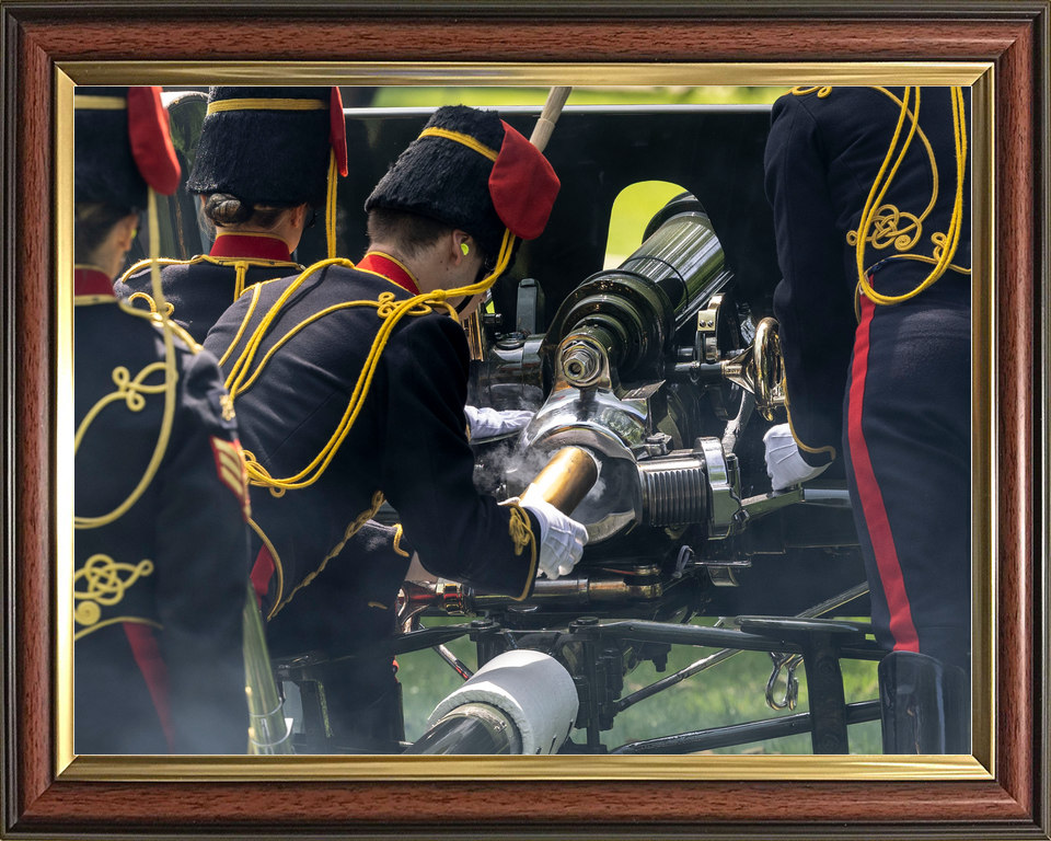 British Army Kings Troop Royal Horse Artillery Gun Salute 2026 Photo Print - Posters, Prints, & Visual Artwork - by Hampshire Prints (image 9 of 9)
