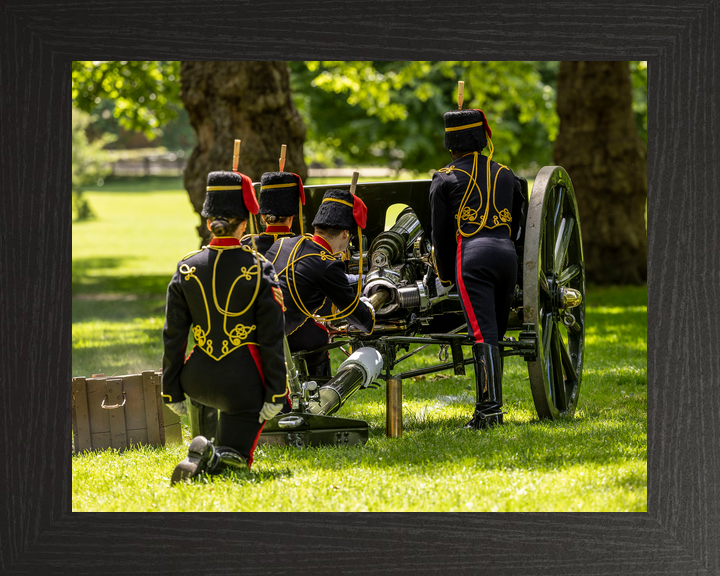 British Army Kings Troop Royal Horse Artillery Salute 2026 Photo Print - Posters, Prints, & Visual Artwork - by Hampshire Prints (image 3 of 9)