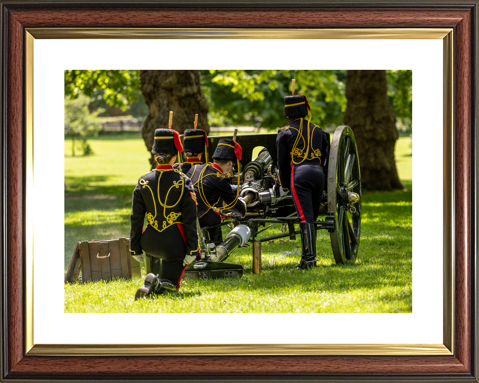 British Army Kings Troop Royal Horse Artillery Salute 2026 Photo Print - Posters, Prints, & Visual Artwork - by Hampshire Prints (image 8 of 9)