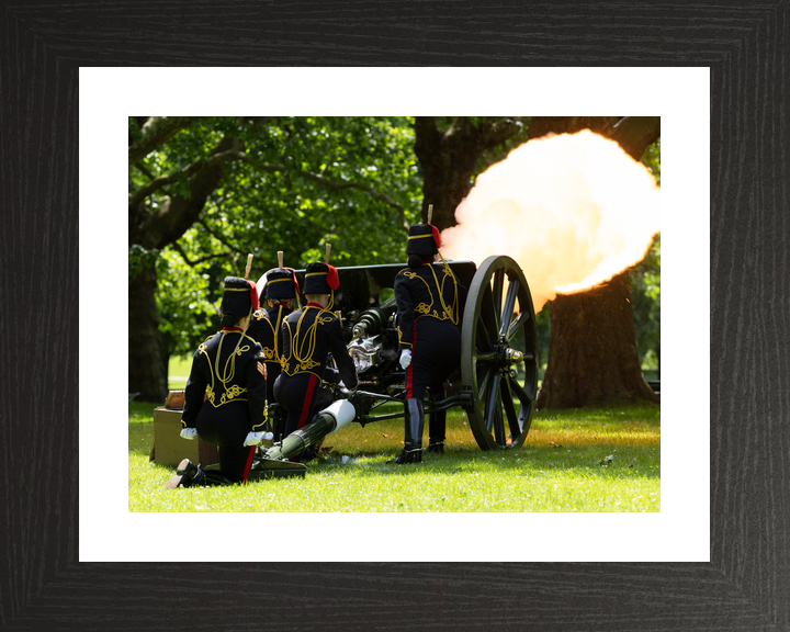 British Army Kings Troop Royal Horse Artillery 41 Gun Salute 2026 Photo Print - Posters, Prints, & Visual Artwork - by Hampshire Prints (image 2 of 9)