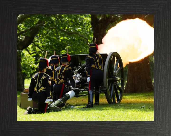 British Army Kings Troop Royal Horse Artillery 41 Gun Salute 2026 Photo Print - Posters, Prints, & Visual Artwork - by Hampshire Prints (image 3 of 9)