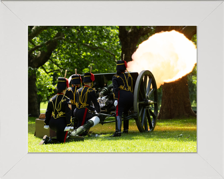 British Army Kings Troop Royal Horse Artillery 41 Gun Salute 2026 Photo Print - Posters, Prints, & Visual Artwork - by Hampshire Prints (image 5 of 9)