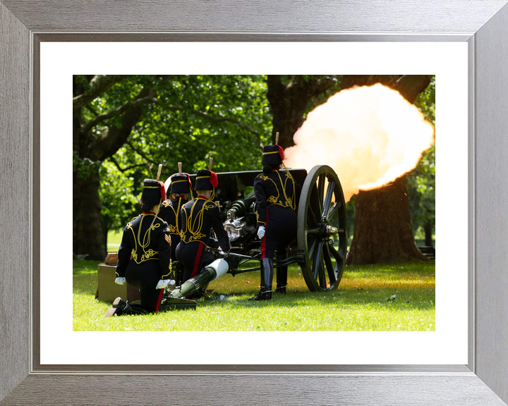 British Army Kings Troop Royal Horse Artillery 41 Gun Salute 2026 Photo Print - Posters, Prints, & Visual Artwork - by Hampshire Prints (image 6 of 9)