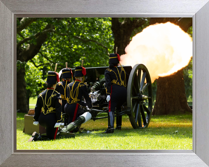 British Army Kings Troop Royal Horse Artillery 41 Gun Salute 2026 Photo Print - Posters, Prints, & Visual Artwork - by Hampshire Prints (image 7 of 9)