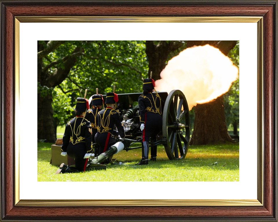 British Army Kings Troop Royal Horse Artillery 41 Gun Salute 2026 Photo Print - Posters, Prints, & Visual Artwork - by Hampshire Prints (image 8 of 9)