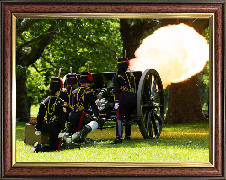 British Army Kings Troop Royal Horse Artillery 41 Gun Salute 2026 Photo Print - Posters, Prints, & Visual Artwork - by Hampshire Prints (image 9 of 9)