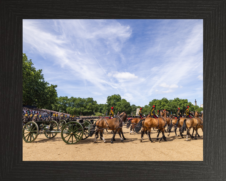 British Army Kings Troop Royal Horse Artillery March Past 2026 Photo Print - Posters, Prints, & Visual Artwork - by Hampshire Prints (image 3 of 9)