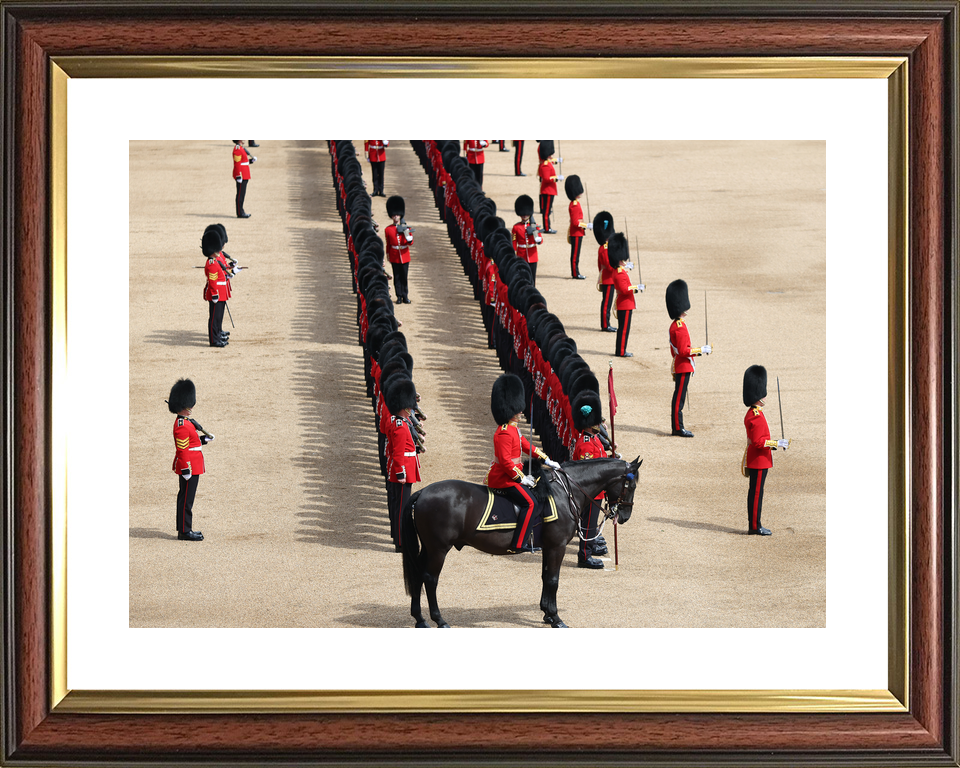 British Army Grenadier Guards Trooping the Colour 2026 Photo Print - Posters, Prints, & Visual Artwork - by Hampshire Prints (image 8 of 9)